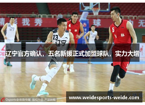 辽宁官方确认，五名新援正式加盟球队，实力大增
