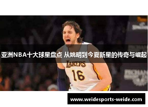 亚洲NBA十大球星盘点 从姚明到今夏新星的传奇与崛起