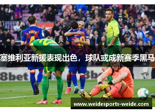 塞维利亚新援表现出色，球队或成新赛季黑马