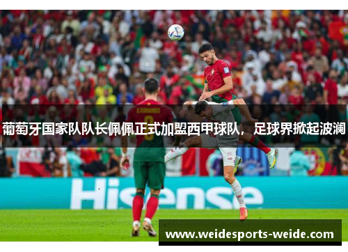 葡萄牙国家队队长佩佩正式加盟西甲球队，足球界掀起波澜