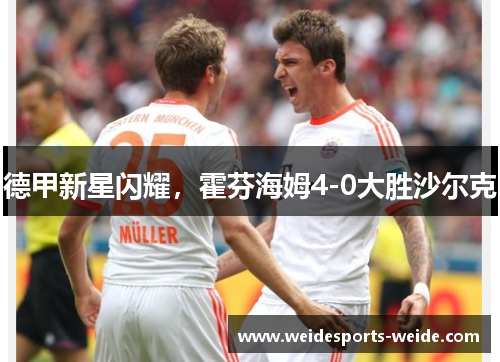 德甲新星闪耀，霍芬海姆4-0大胜沙尔克
