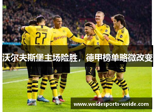 沃尔夫斯堡主场险胜，德甲榜单略微改变