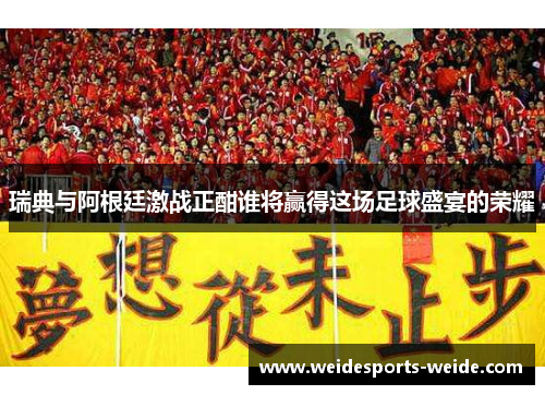 瑞典与阿根廷激战正酣谁将赢得这场足球盛宴的荣耀