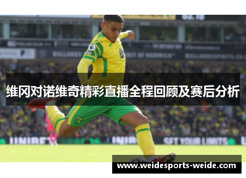 维冈对诺维奇精彩直播全程回顾及赛后分析